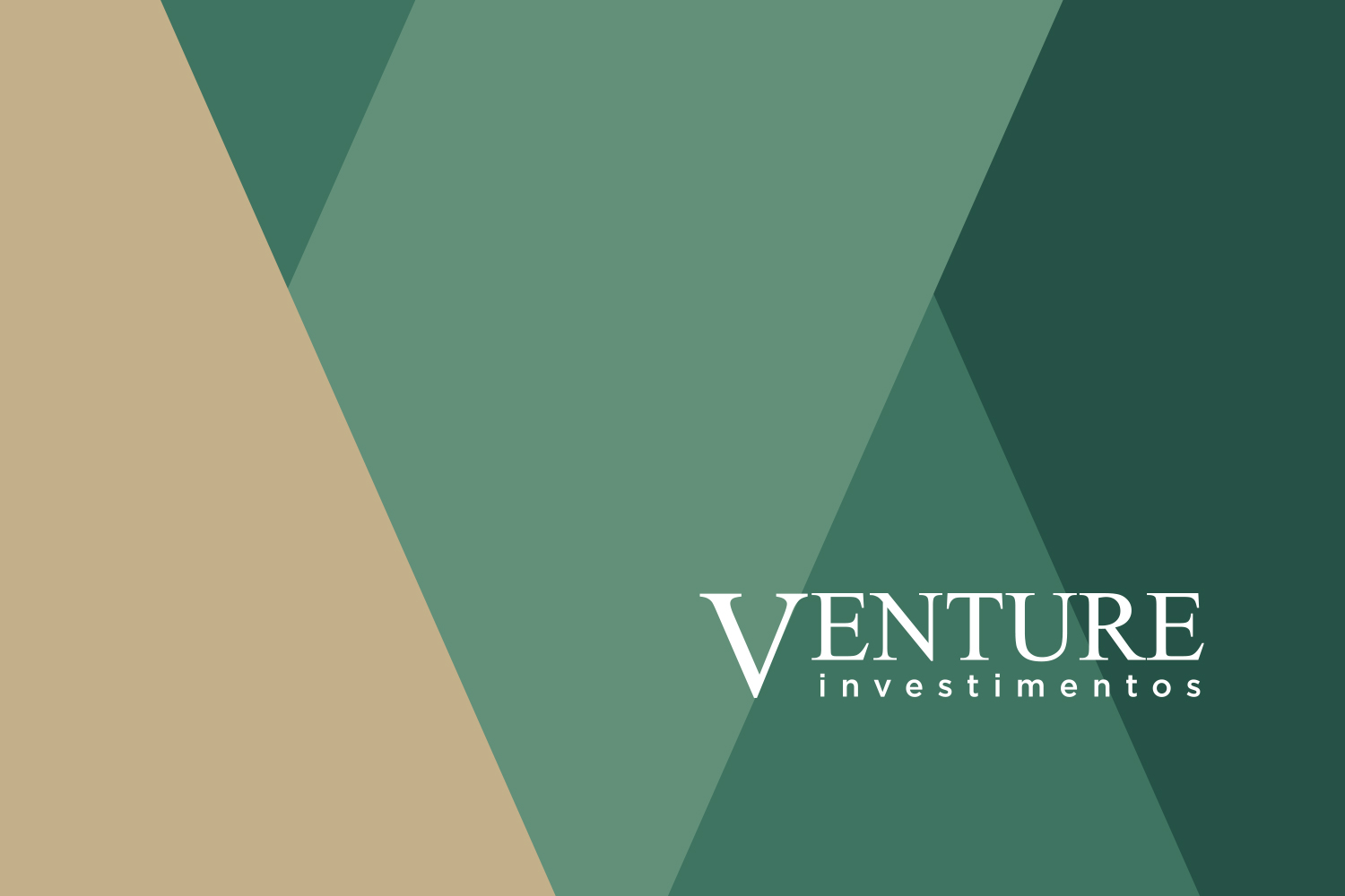 Venture Investimentos | Identidade visual