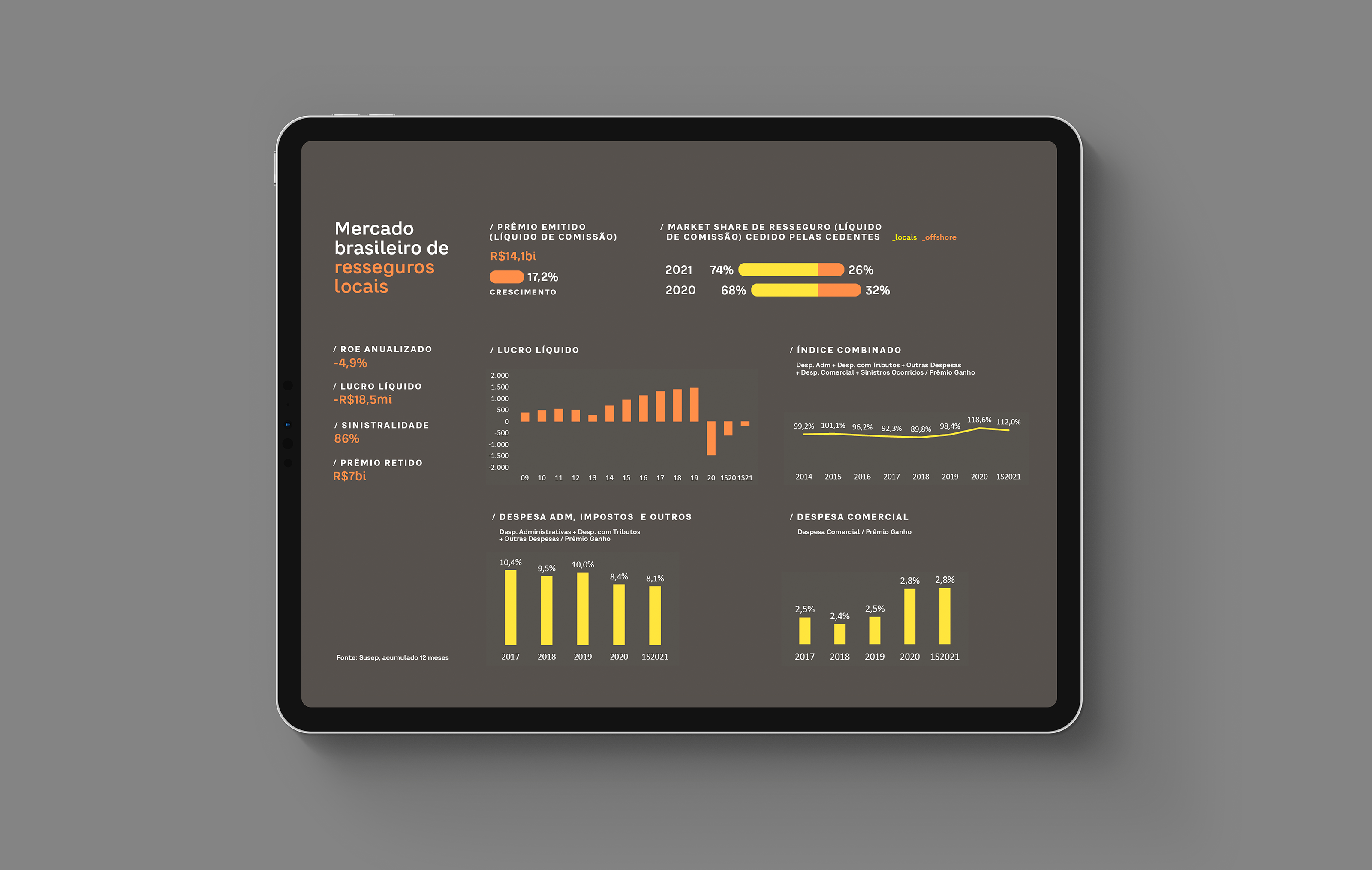 AUSTRAL INSIGHT — foto 2